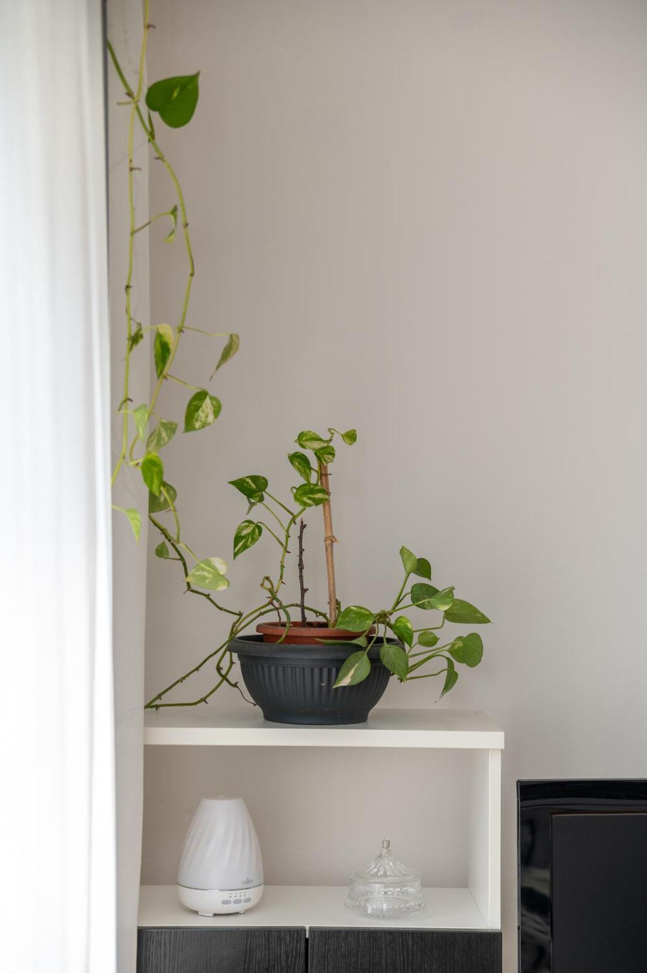Apartman Milijana Fažana Екстериор снимка